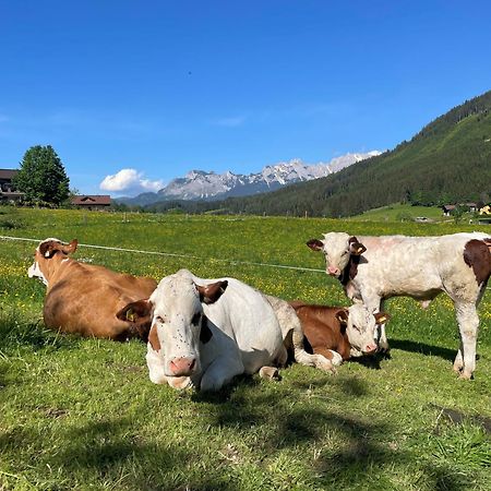 Apartmán Wimmhof Sankt Martin am Tennengebirge Exteriér fotografie