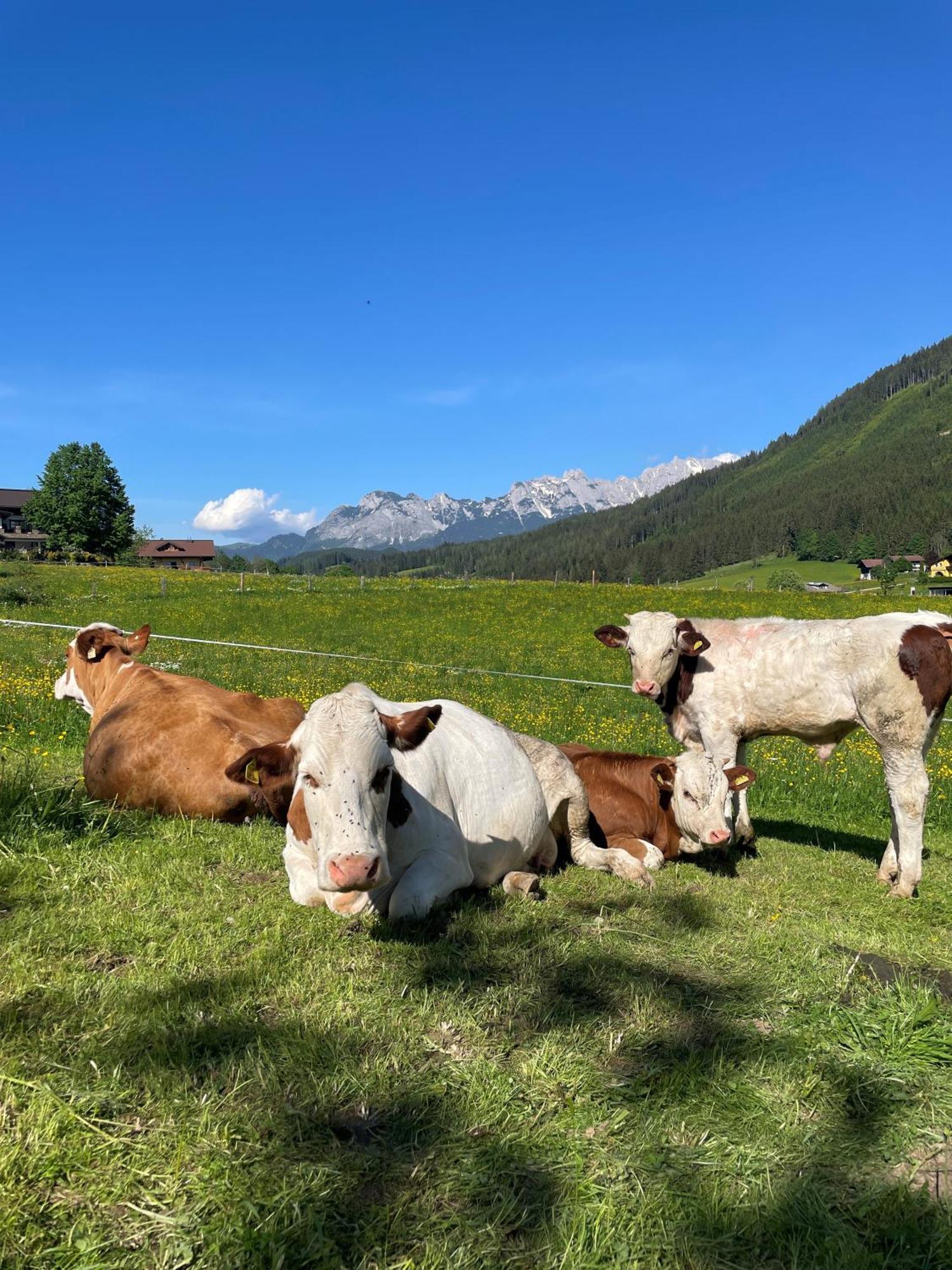 Apartmán Wimmhof Sankt Martin am Tennengebirge Exteriér fotografie